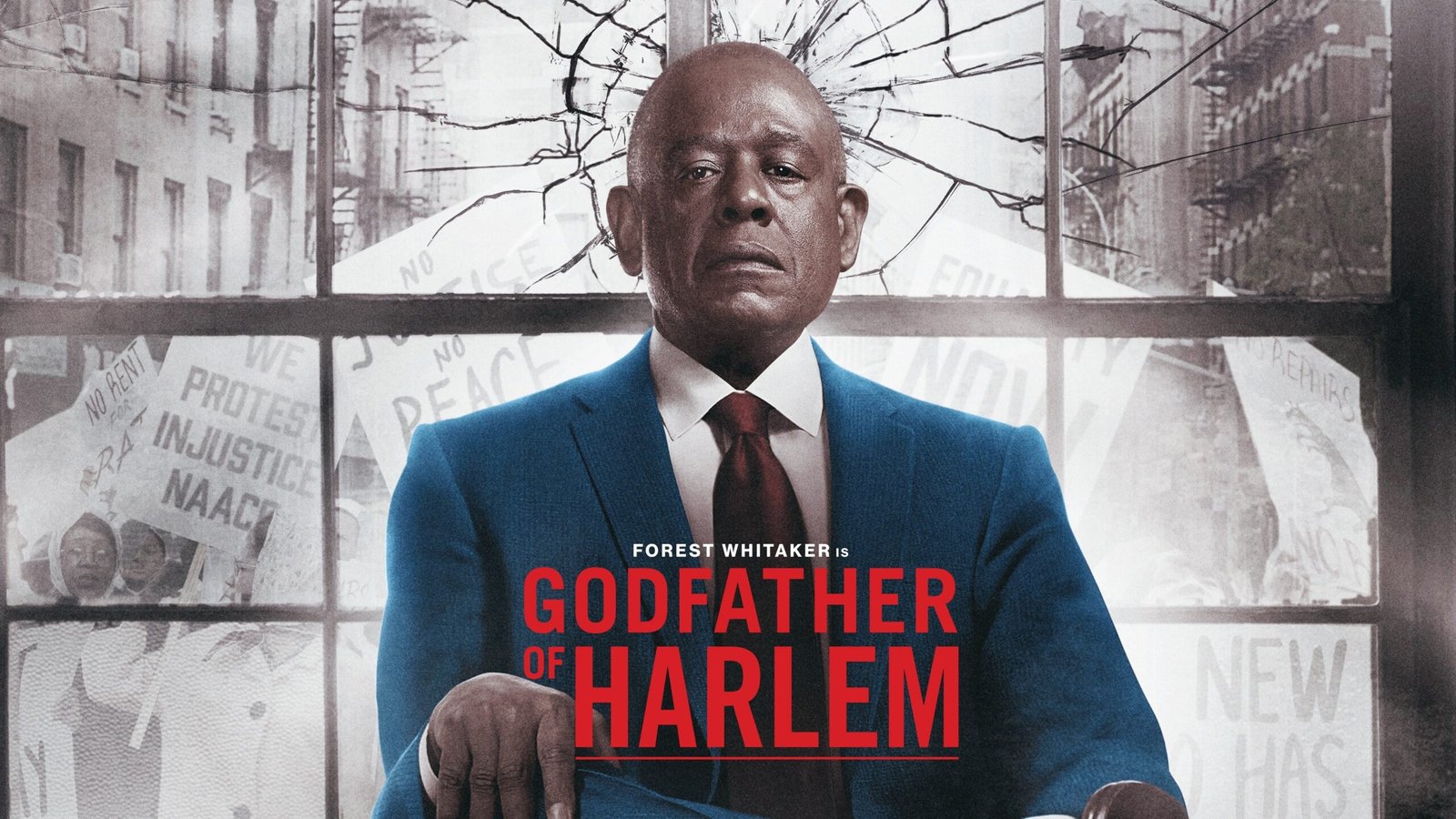 Godfather of Harlem - No Favors